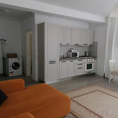 Apartamentul Turcoaz Daire